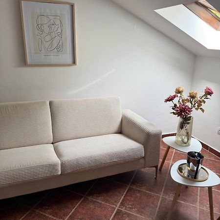 Apartment Damjan โกตอร์ ภายนอก รูปภาพ
