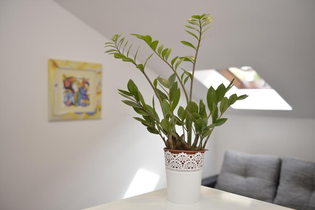 Apartment Damjan โกตอร์ ภายนอก รูปภาพ